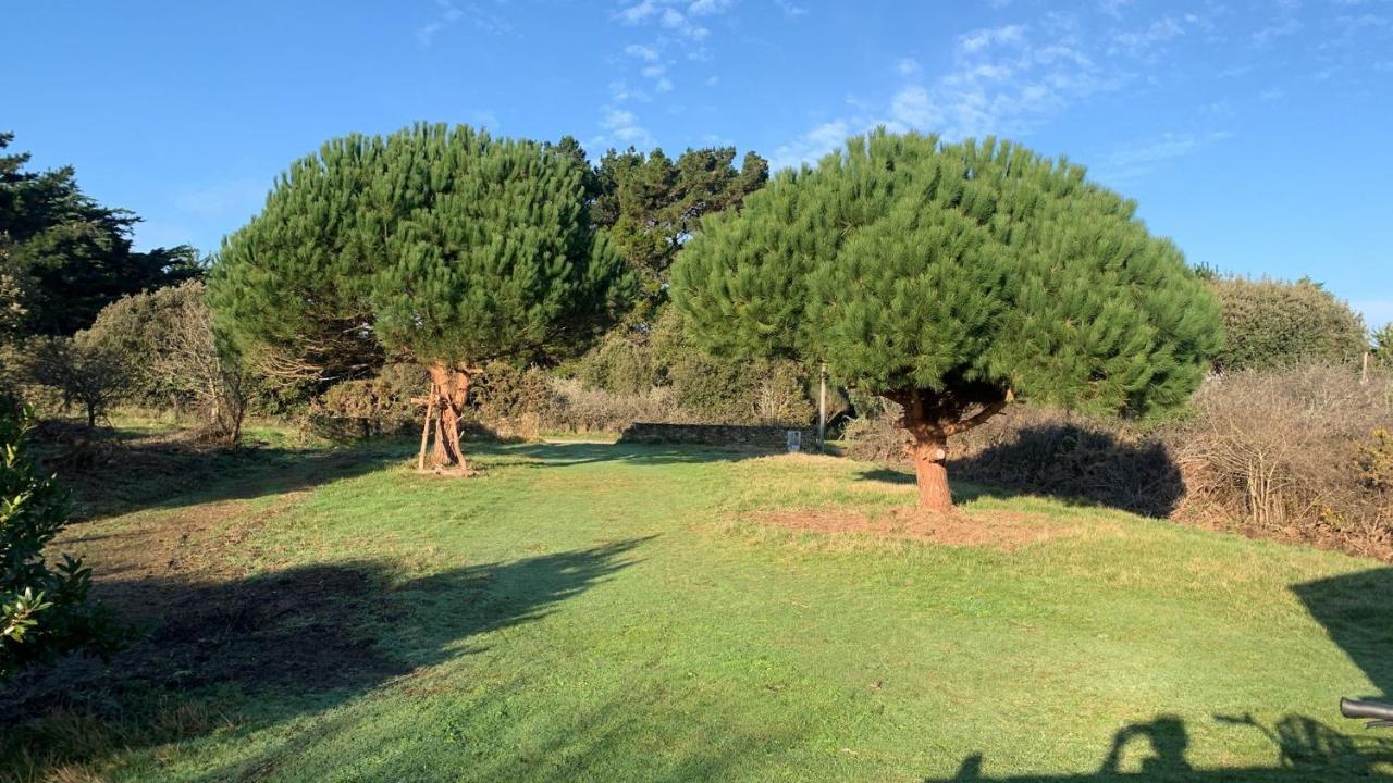 Maison 100 M Plage, 2 Kms Du Port Ile d'Yeu Eksteriør billede